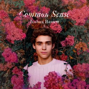 Download track Common Sense Joshua Bassett