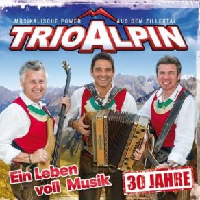 Download track Du Bist Perfekt Für Mi' Trio Alpin