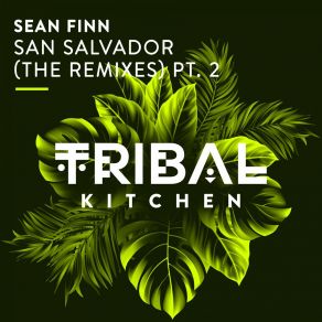 Download track San Salvador (Yoga Remix) Sean Finn