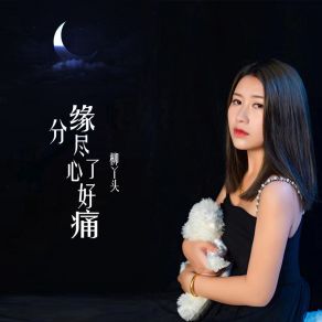 Download track 缘份尽了心好痛 (伴奏) 柳丫头