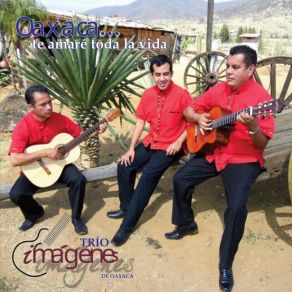 Download track El Bravero Trio Imágenes De Oaxaca