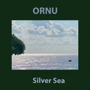 Download track Salaka Ornu