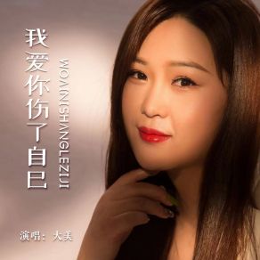 Download track 我爱你伤了自己 大美