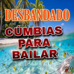 Download track Gracias Papa Cumbias Para Bailar