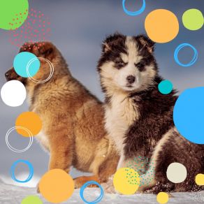 Download track Chilled Moods For Restless Puppies Calming Music For Dogs