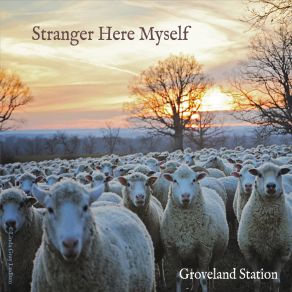 Download track Cow Tipping Groveland Station