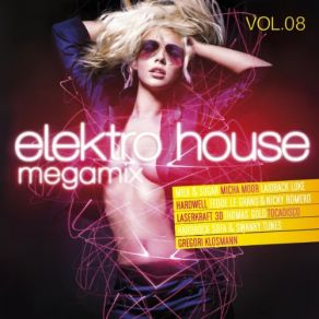 Download track Elektro House Vol. 8 Megamix