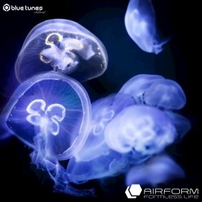 Download track Optical Illusions Airform