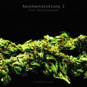 Download track Hier & Jetzt Bornerline