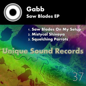 Download track Squelching Parrots (Original Mix) Gabb