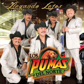 Download track Los Dos Fuimos Culpables Los Pumas Del Norte