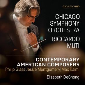 Download track Symphony No. 11: Movement Ii' Chicago Symphony Orchestra, Riccardo Muti