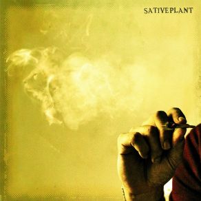 Download track Força Do Leão Sative PlantCena Roots, Casa Loca