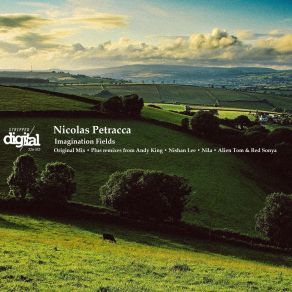 Download track Imagination Fields (Nila Remix) Nicolas Petracca