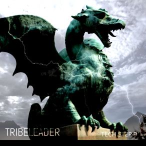 Download track TECH STEP 9 (Instrumental Tech) Tribeleader