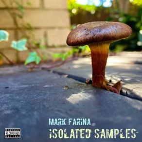 Download track One (Interlude) Mark Farina