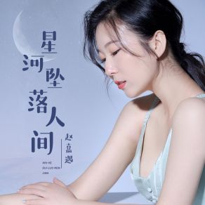 Download track 星河坠落人间 (伴奏版) 赵嘉遇