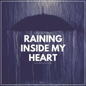 Download track Raindrops Magic, Pt. 17 Rainfall