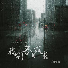 Download track 我们各自成家 温宇鑫