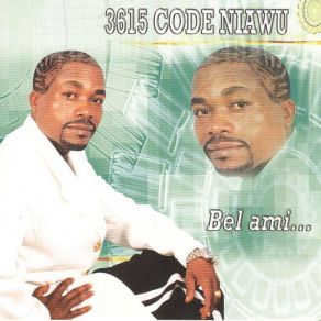 Download track Pitié 3615 Code Niawu