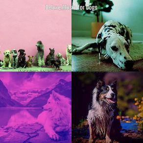 Download track Swanky Backdrops For Cute Puppies Deluxe Music For Dogs