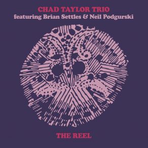 Download track Concentric Chad Taylor, Neil Podgurski, Brian Settles, Chad Taylor Trio