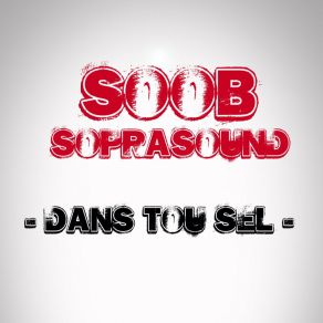 Download track Dans Tou Sel (Radio Edit) Sopra SoundSoprasound