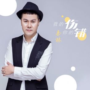 Download track 我的伤你的错 (Dj版伴奏) Lin Bao