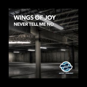 Download track Never Tell Me No (We Will Fly Mix) Wings Of Joy