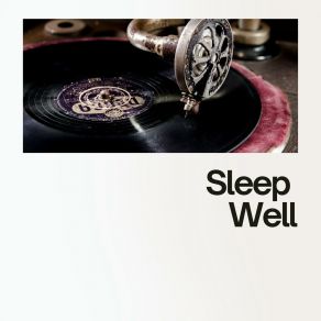 Download track Sleep Well Seinem Orchester