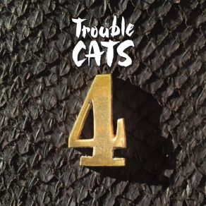 Download track You Can't Make A Robot Play The Blues Trouble Cats