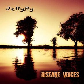 Download track Distant Voice Jellyfly