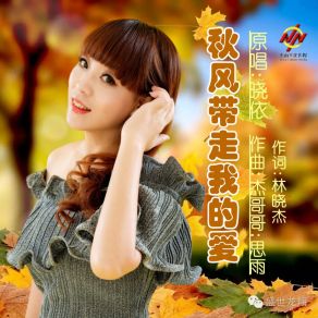 Download track 秋风带走我的爱 (舞曲版伴奏) 晓依