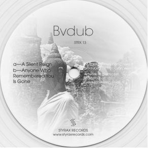 Download track The Growing Stone Bvdub