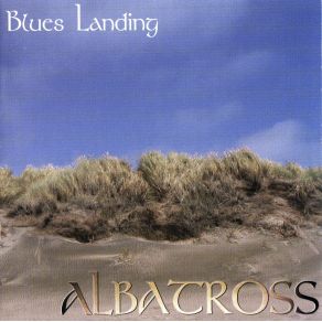 Download track High Tide Albatross