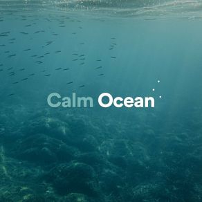 Download track Contented Ocean Relaxing Ocean Sounds