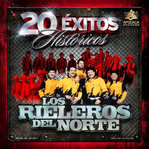 Download track Luz Elia La De Chihuahua Los Rieleros Del Norte