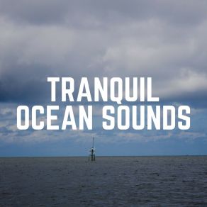 Download track Sea Meditations, Pt. 11 Calming Waves