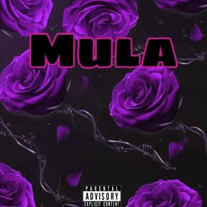 Download track Murda Scene Mula Babyy