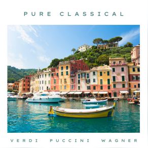 Download track Gianni Schicchi, SC 88 O Mio Babbino Caro (From A Room With A View) Cincinnati Pops Orchestra