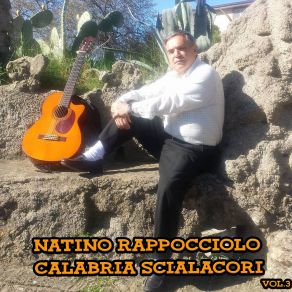 Download track Eu Cantu In Allegria Natino Rappocciolo