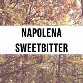 Download track Romance Napolena