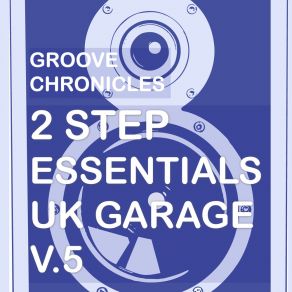 Download track Not Hot Groove Chronicles (Noodles)Dubchild