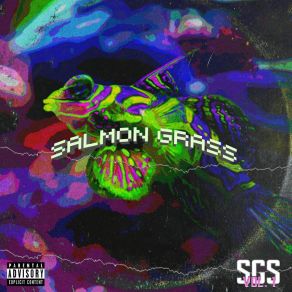 Download track Pontes Salmon Grass