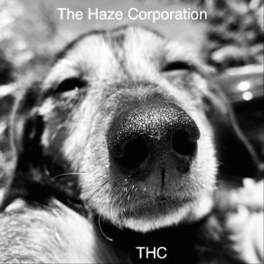 Download track We Are One The Haze Corporation