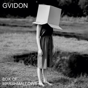 Download track Mesmerizing Gvidon