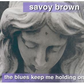 Download track Ain'T No Need To Worry Savoy Brown