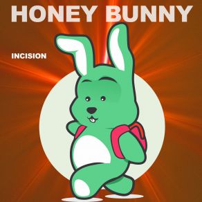 Download track Novel (Original Mix) Big Bunny