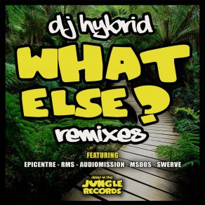 Download track What Else (Epicentre Remix) DJ Hybrid