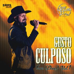 Download track Medley Norteño: Nunca Voy A Olvidarte / Y Todo Para Que / Desvelado / Si Una Vez / Que No Quede Huella / Con La Misma Piedra (Live) Luigi Balestra 